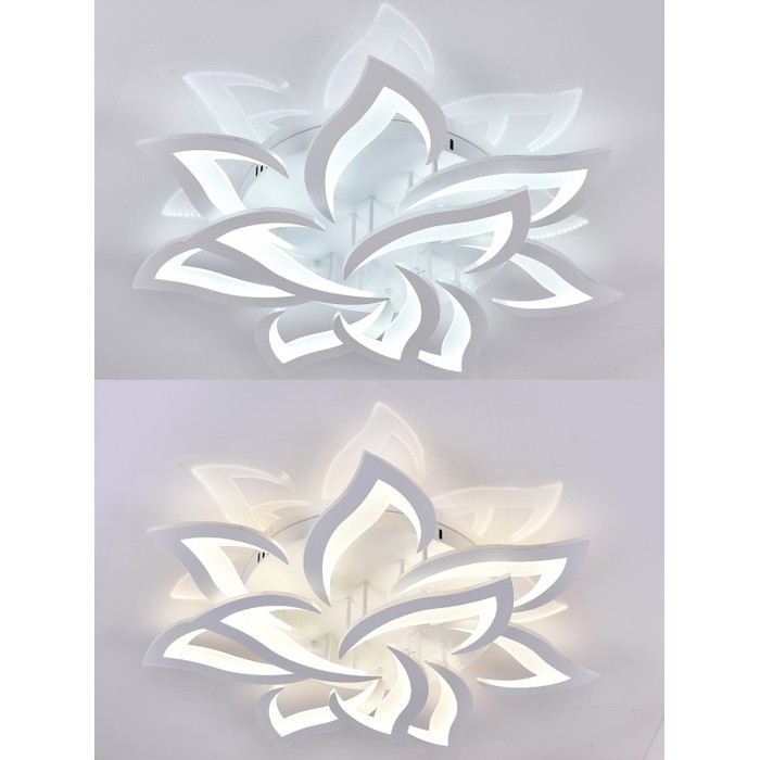 LED LAMPS 81224