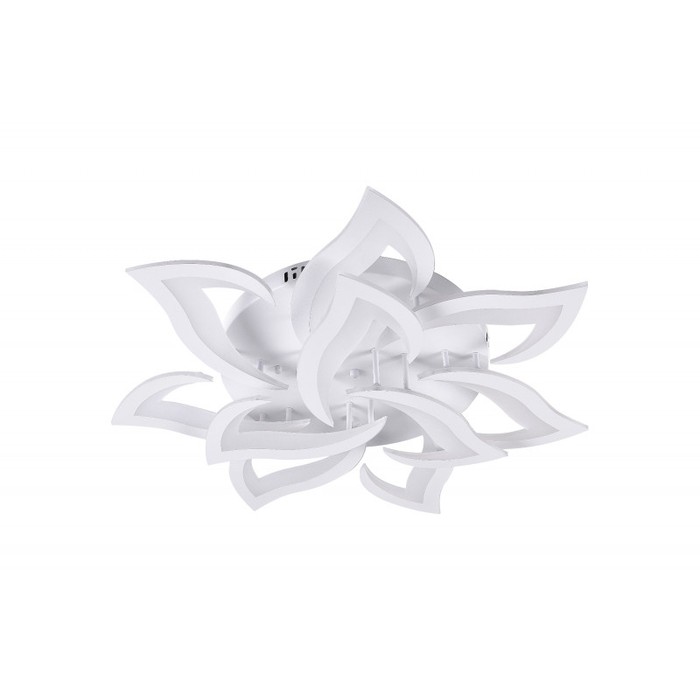 LED LAMPS 81224