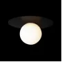 10120/250C Black