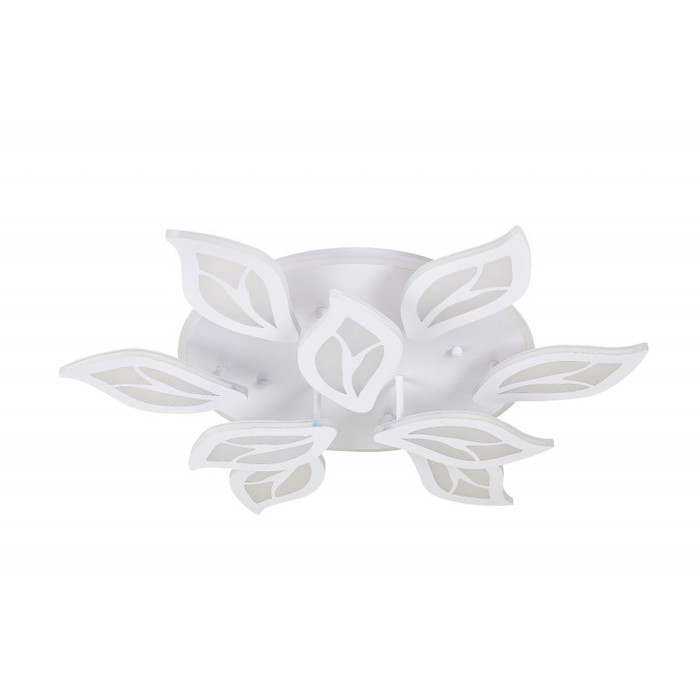 LED LAMPS 81156