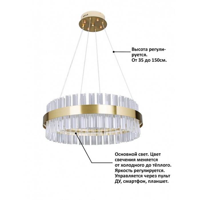 INNOVATION STYLE 83010
