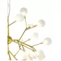 GRACE 75128/6C GOLD SATIN