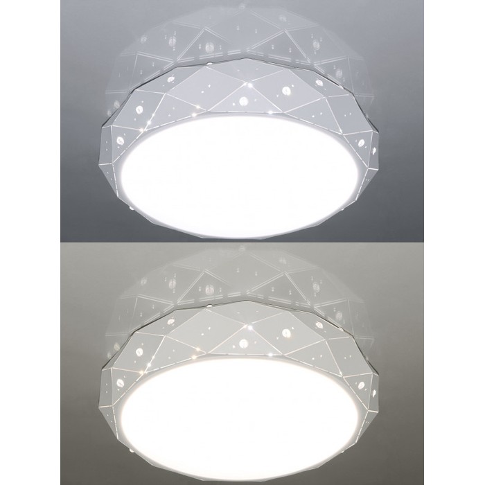 LED LAMPS 81205