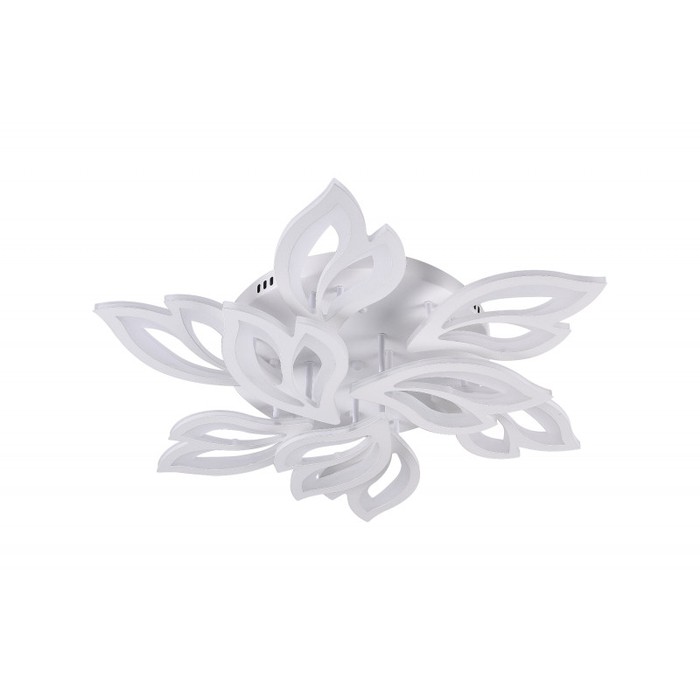 LED LAMPS 81226