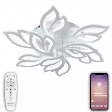 LED LAMPS 81226