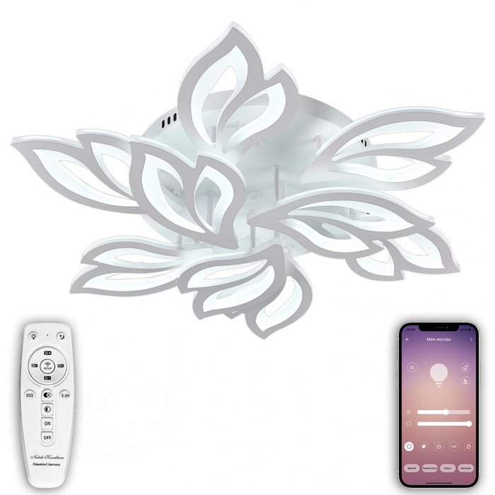 LED LAMPS 81226