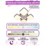 LED LAMPS 81323