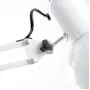 24233