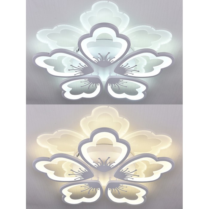 LED LAMPS 81230