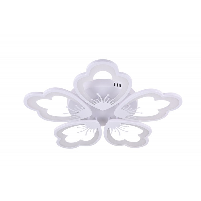 LED LAMPS 81230