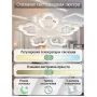 LED LAMPS 81230