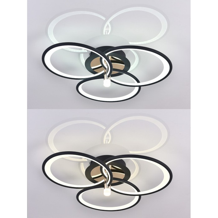 LED LAMPS 81362