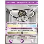 LED LAMPS 81362