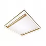 LED LAMPS 81307