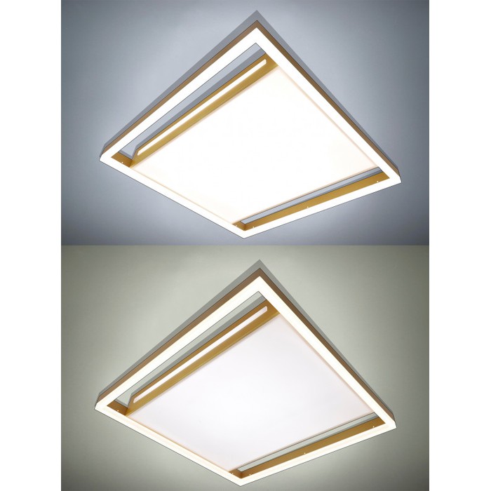 LED LAMPS 81307