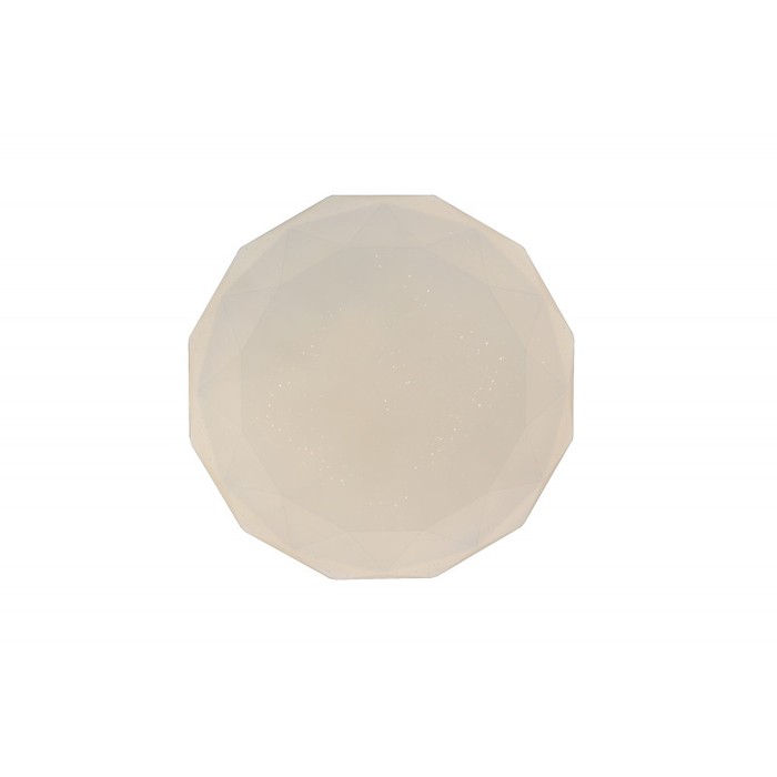 LED LAMPS 81091