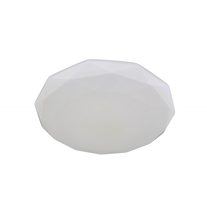 LED LAMPS 81091