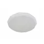 LED LAMPS 81091