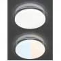 LED LAMPS 81102