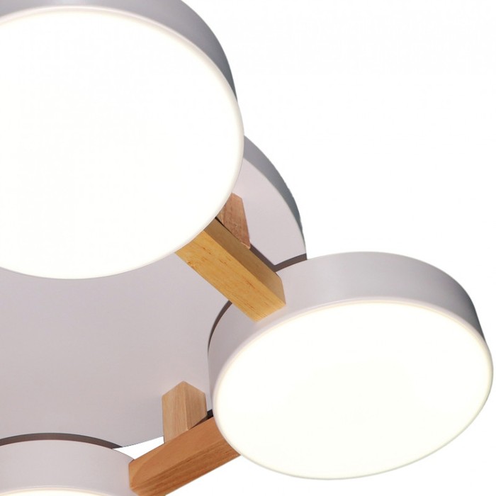 LED LAMPS 81325