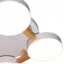 LED LAMPS 81325