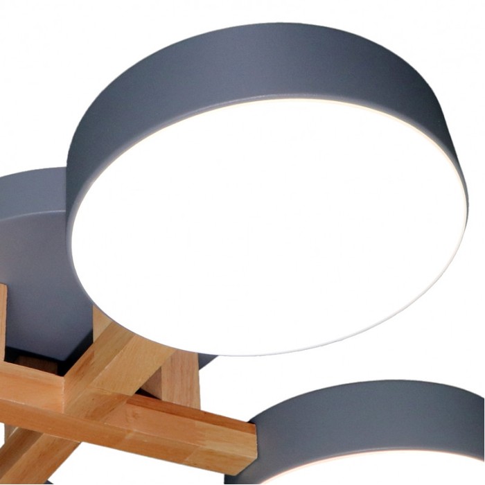 LED LAMPS 81330