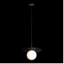10120/250P Black