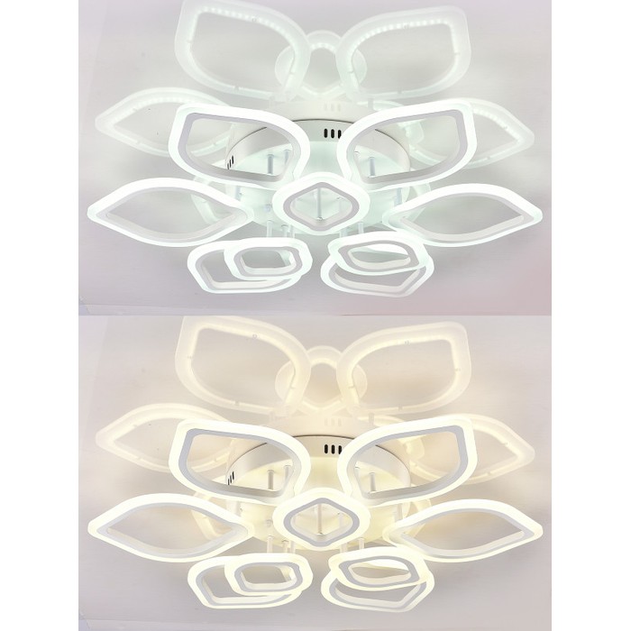 LED LAMPS 81237