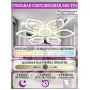 LED LAMPS 81237