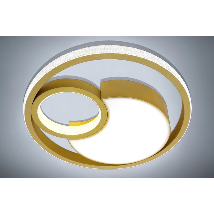 LED LAMPS 81316