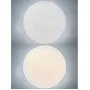 LED LAMPS 81092
