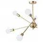 ANDY 75142/8C GOLD
