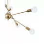 ANDY 75142/8C GOLD
