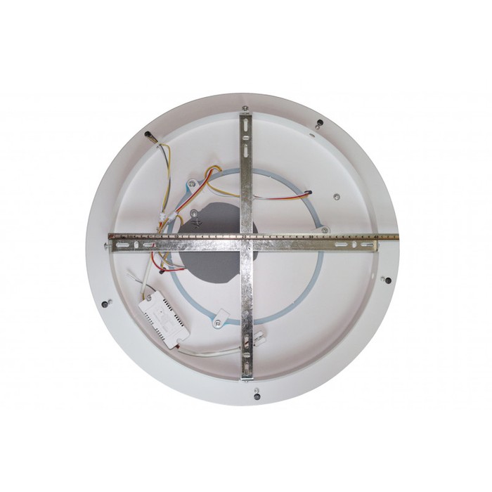 LED LAMPS 81098