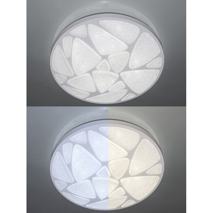 LED LAMPS 81104