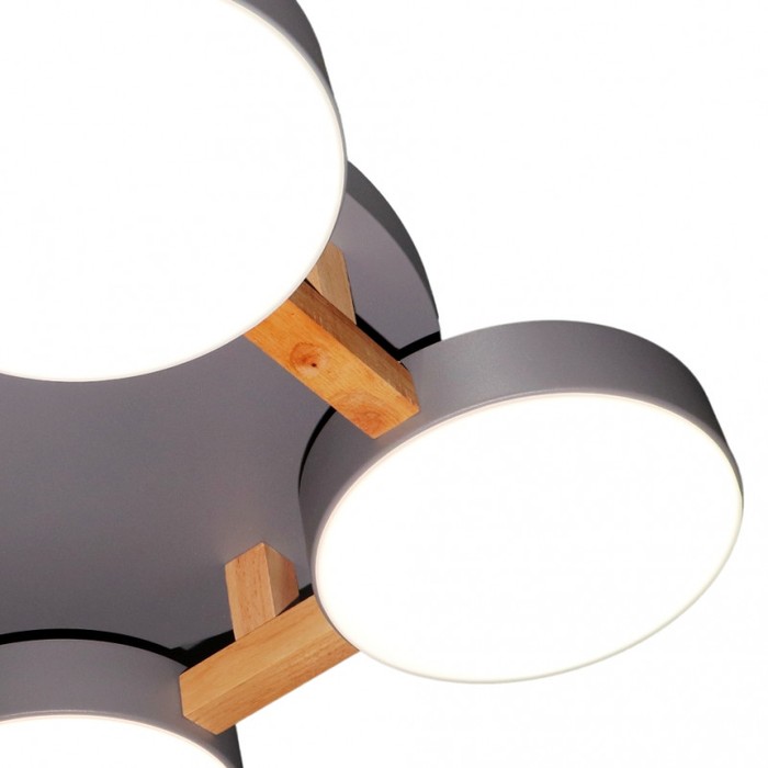 LED LAMPS 81326