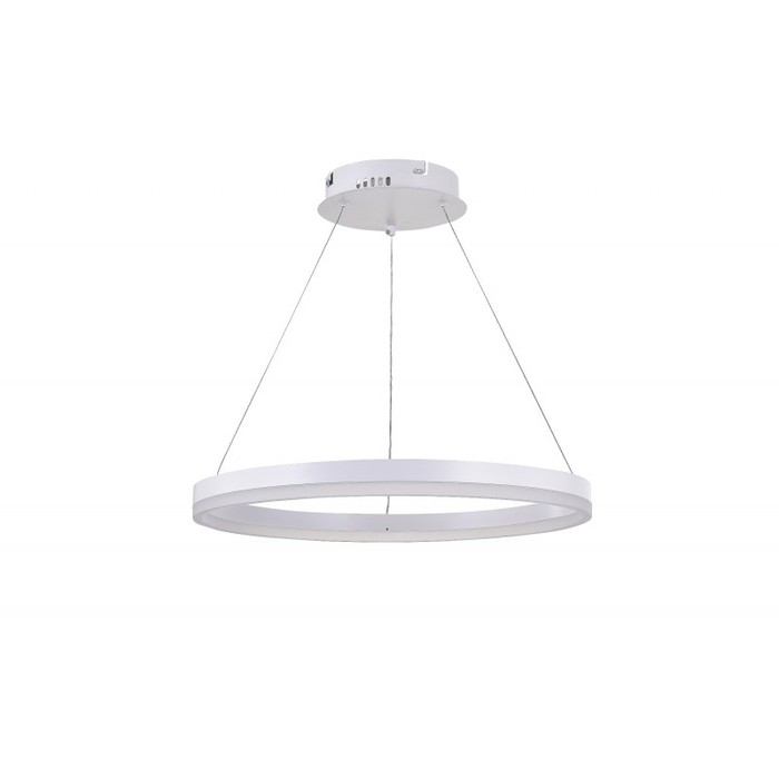 LED LAMPS 81294