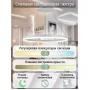 LED LAMPS 81294