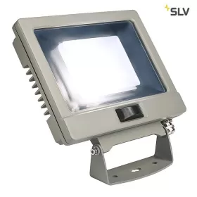 232894