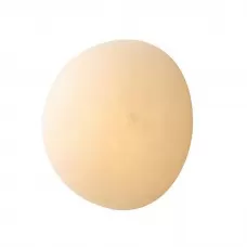 L29624