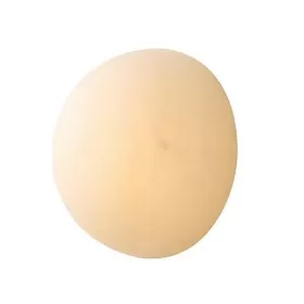 L29624