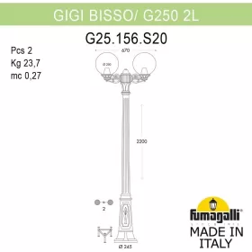 G25.156.S20.VXF1R