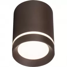 20009SMU/01LED CF