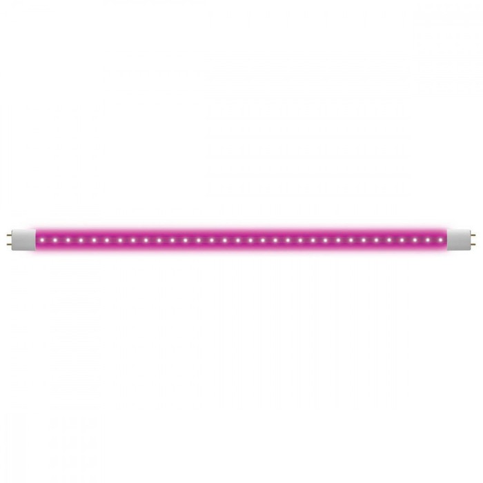 LED-T8-9W/SPSB/G13/CL PLP30WH