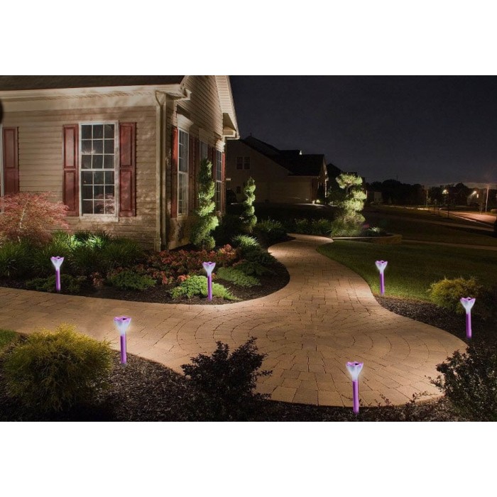 USL-C-420/PT305 PINK CROCUS