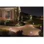 USL-C-420/PT305 PINK CROCUS