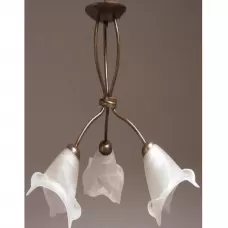 12073