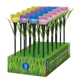 USL-C-651/PT305 TULIP SET 24