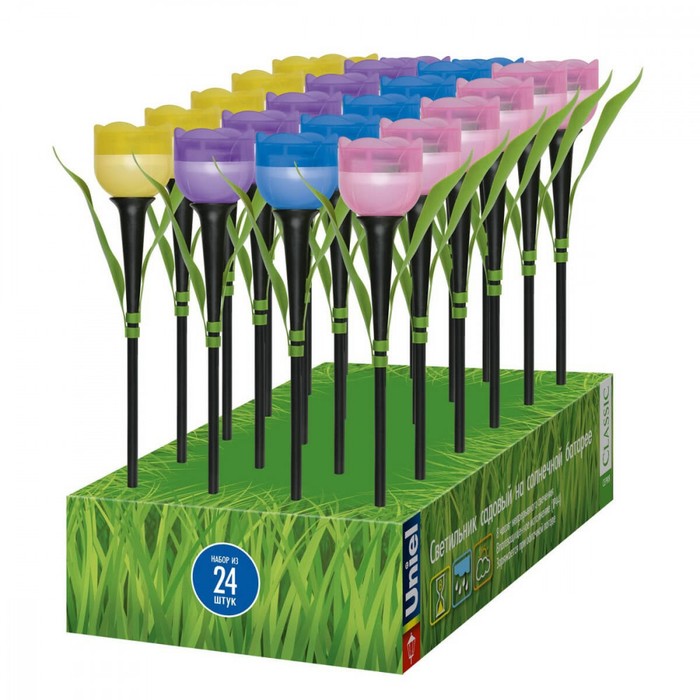 USL-C-651/PT305 TULIP SET 24