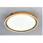 10269/S LED